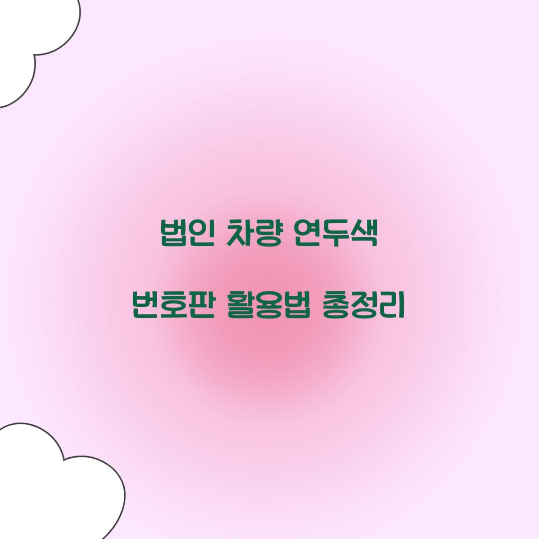 법인 차량 연두색 번호판
