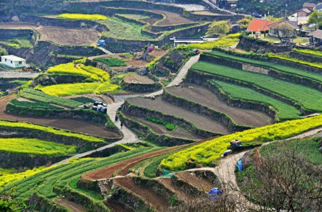 20만원 국내여행10