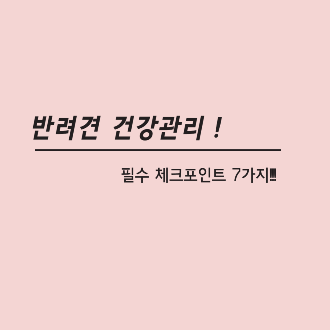 반려견 건강관리 비법! 필수 체크포인트 7가지