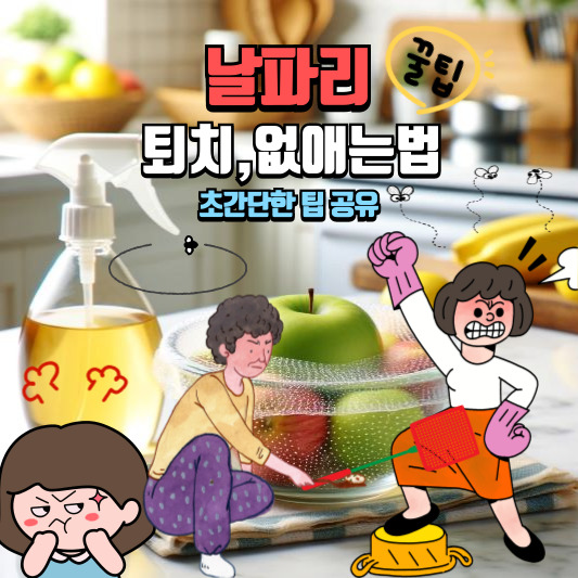 날파리 없애는법