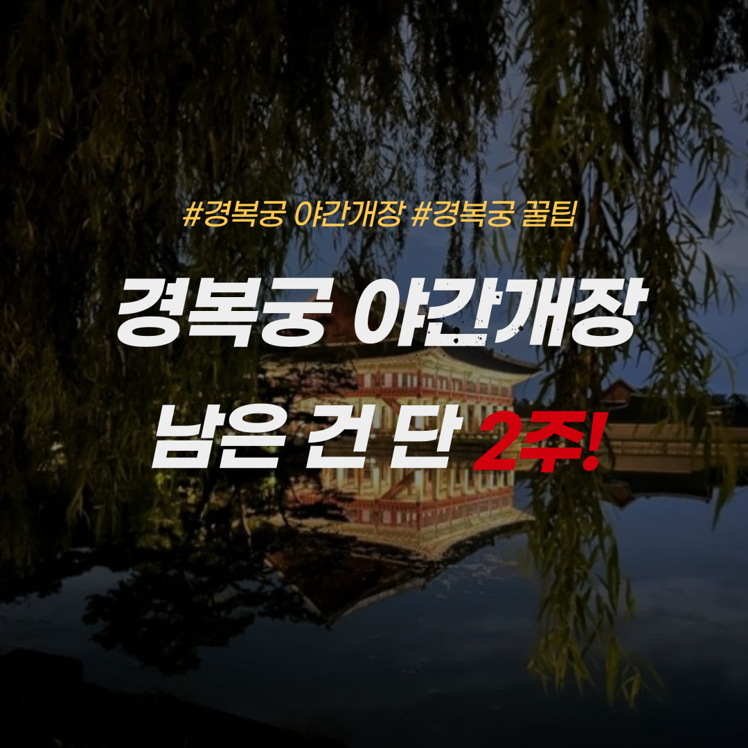 경복궁 야간 개장