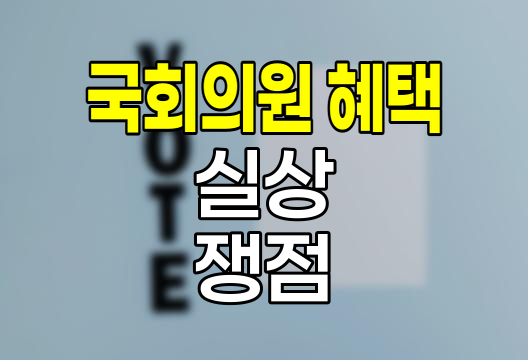 국회의원 혜택, 실상과 쟁점