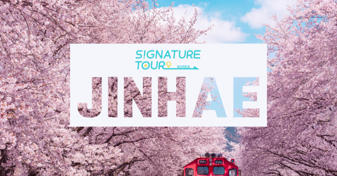 진해 군항제 벚꽃축제 서울출발 셔틀버스 예약방법 명소 기간 전국 벚꽃 명소 추천