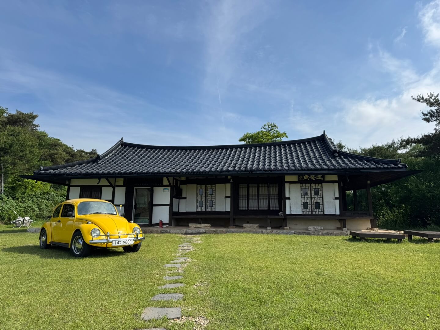 2025 고창 청농원 라벤더 축제: 보랏 빛 힐링의 계절이 돌아왔다!