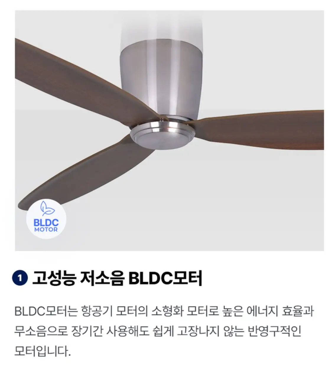 사진24