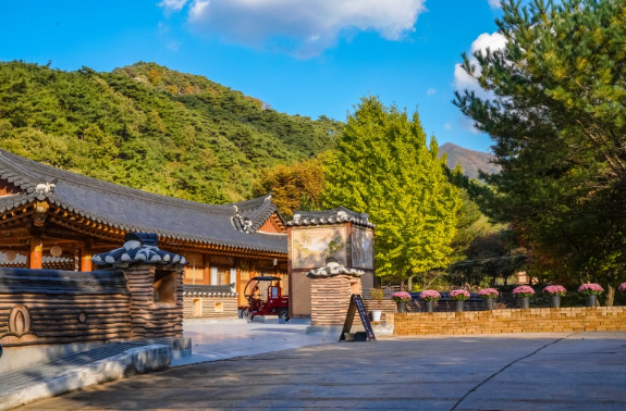 속리산 법주사 세조길 (혼자 여행, 단풍명상길, 조용한 힐링코스)