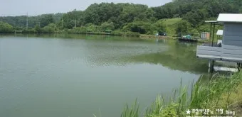 낚시터 예약제 운영 충북 충남 저수지 붕어터 안내_3