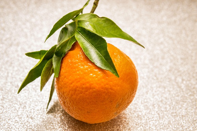 백내장 수술후 시력회복 기간 4