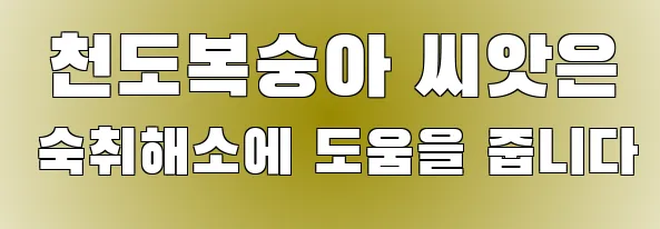  천도복숭아 씨앗은 숙취해소에 도움을 줍니다