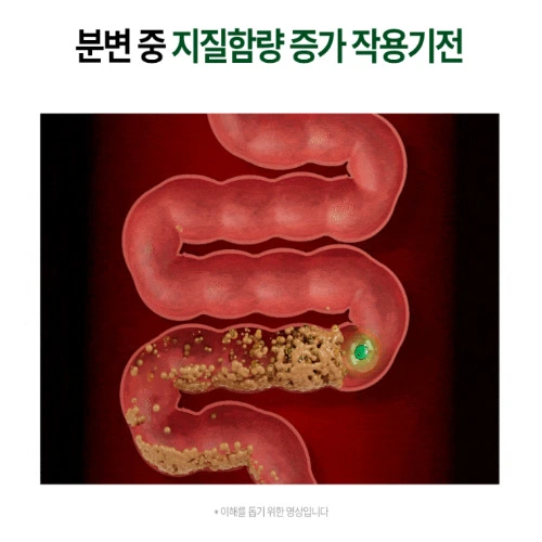 소우코우 이소비텍신 다이어트 효능 부작용 가격 내돈내산 후기