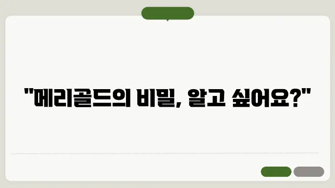 메리골드 효능 부작용 먹는 방법 알아보기
