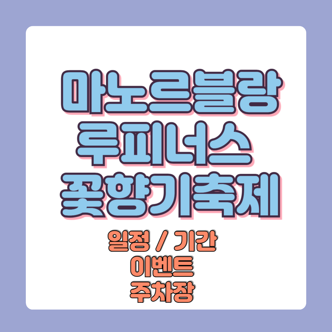 2025 마노르블랑 루피너스 꽃향기축제 일정 기간 가격 이벤트 주차장