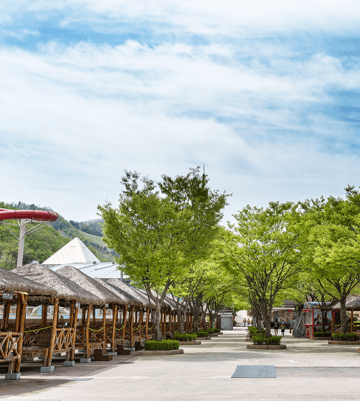 오션월드 할인, 준비물, 카바나, 셔틀버스, 입장권