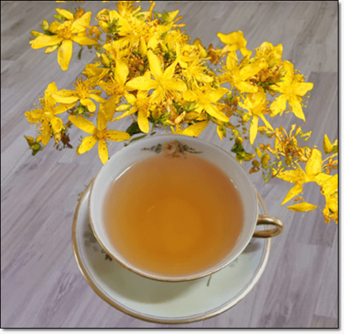 세인트존스워트 꽃 차