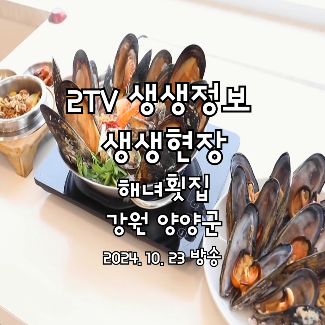 2TV 생생정보 생생현장