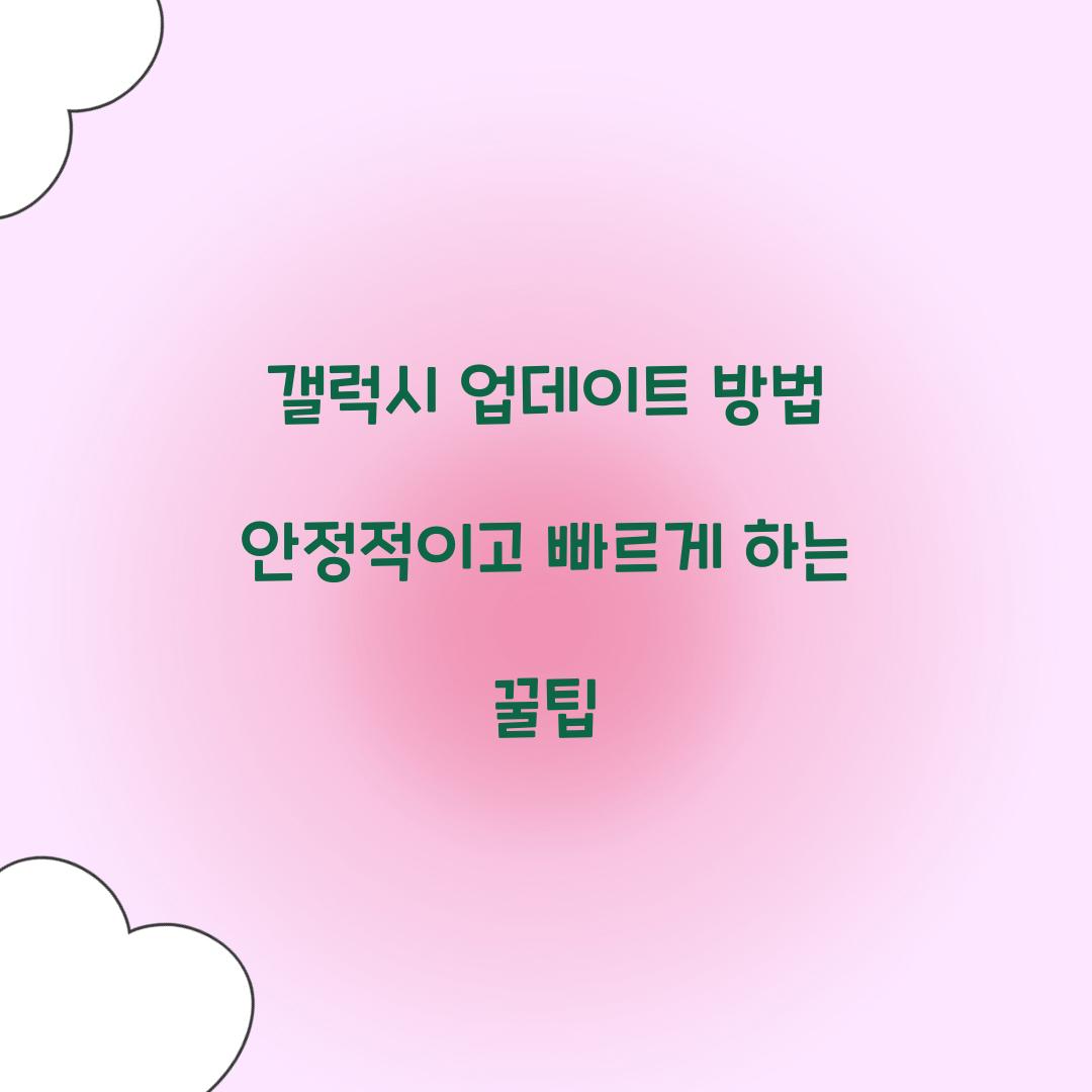 갤럭시 업데이트 방법