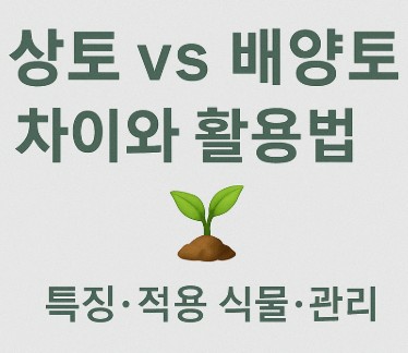 상토 vs 배양토 차이와 활용법: 특징·적용 식물·관리 사진