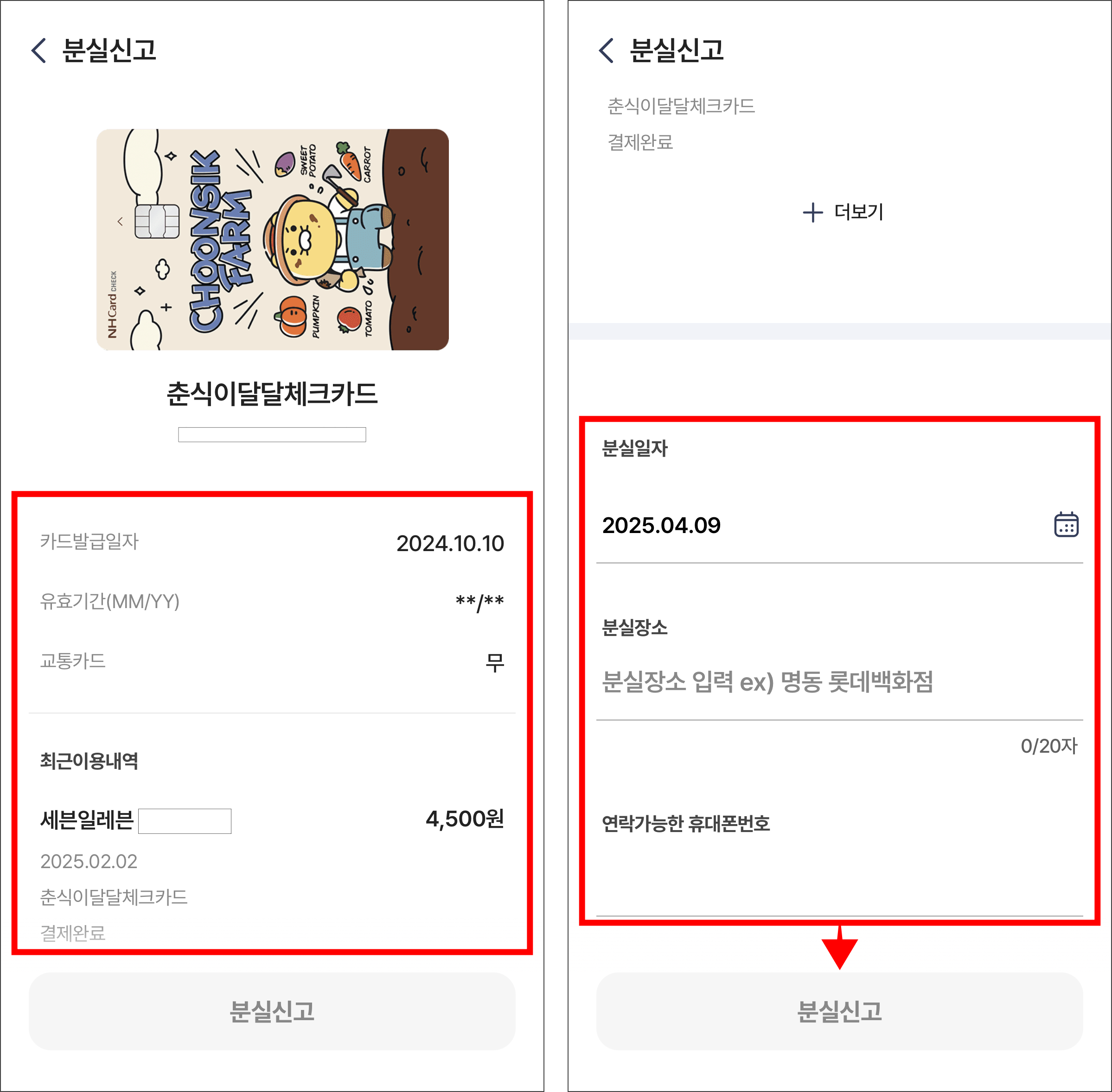 카드 정보를 확인하고 분실 정보를 입력한 후 '분실신고'를 선택