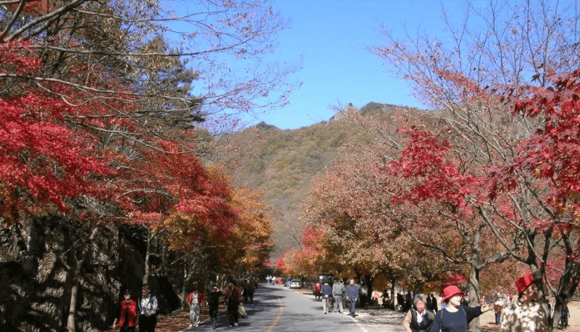 단풍명소