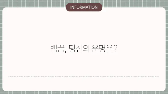 큰뱀꿈 뱀이많이야 두룩 고루 표방 주잔킈