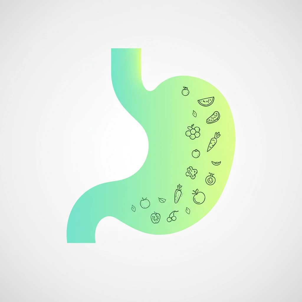 속쓰림 해결사, 알마겔정 복용법 A ..