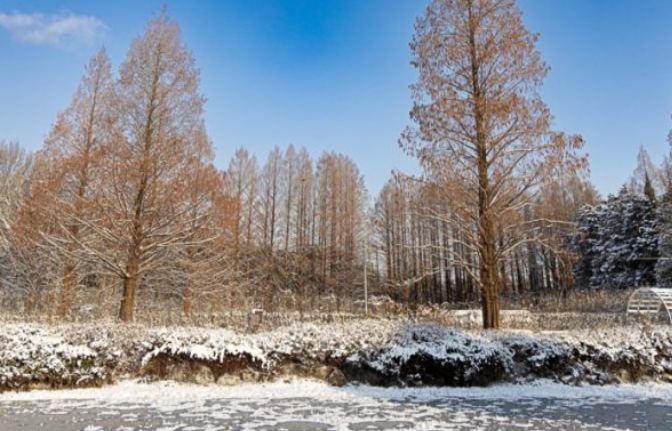 1월 전라도 광주 가볼만한곳 추천 ❘ 국내 겨울 여행지 ❘ 데이트 가족 당일치기 여행