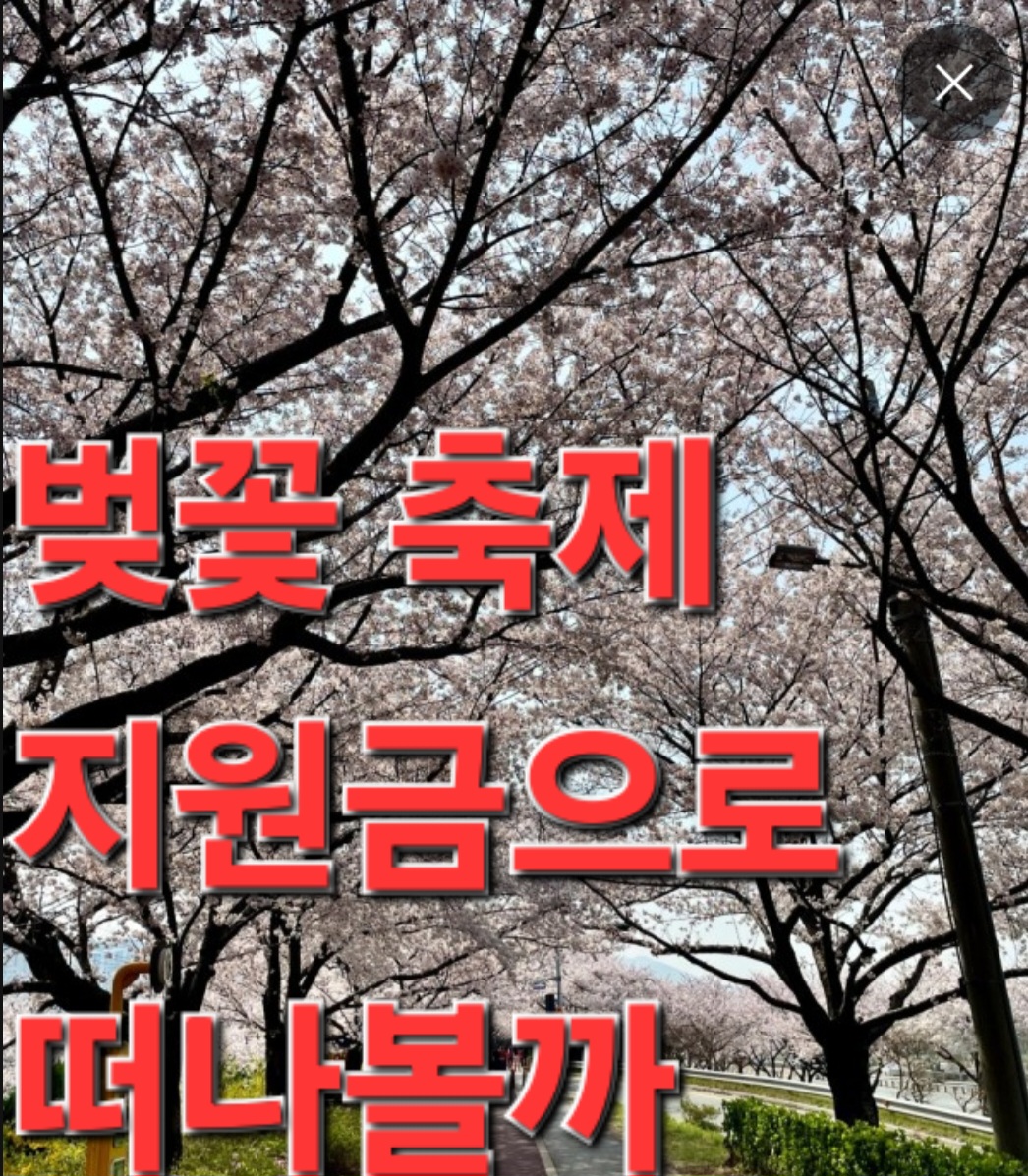 벚꽃축제