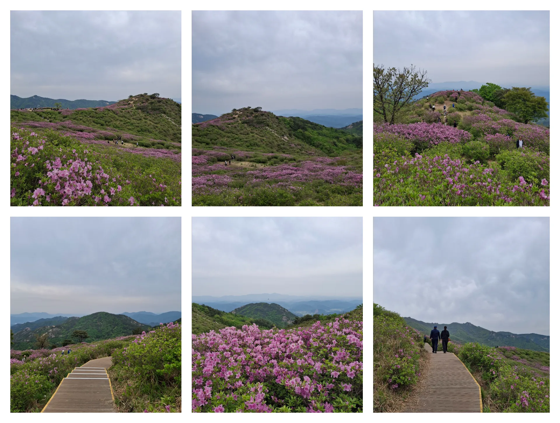 봄 황매산
