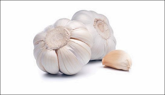 흑마늘 만드는방법