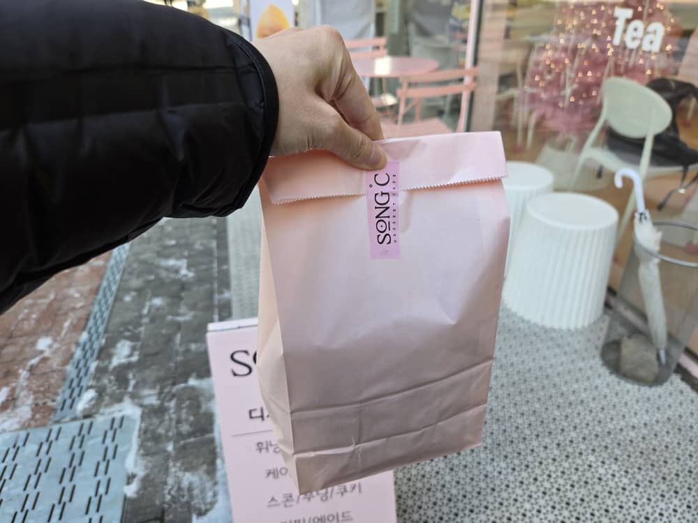 송도 송도씨