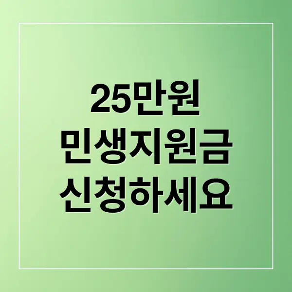 25만원 전국민 민생지원금 완벽 가이드
