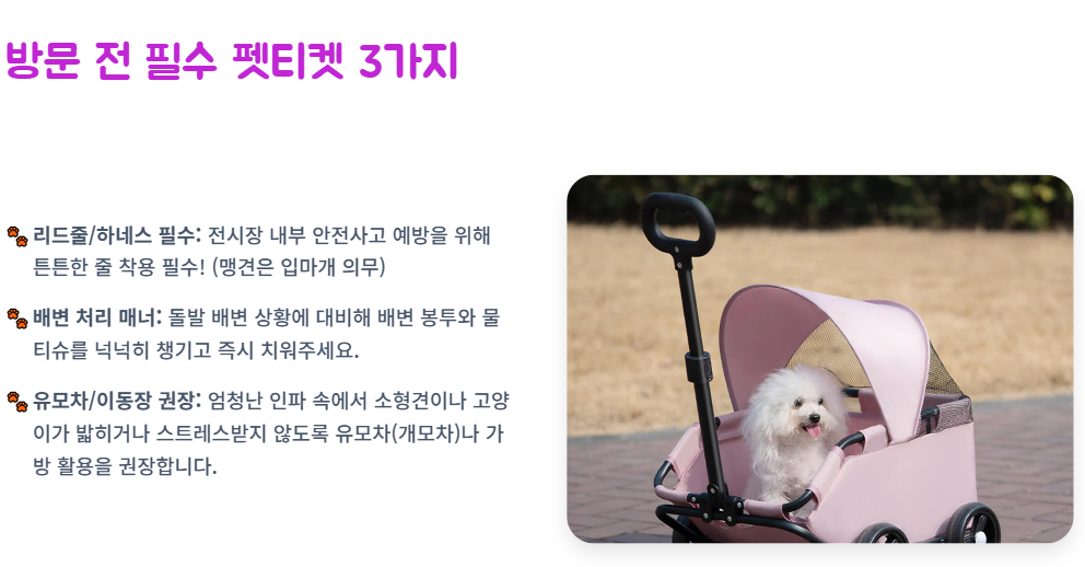대한민국 펫캉스 구미코