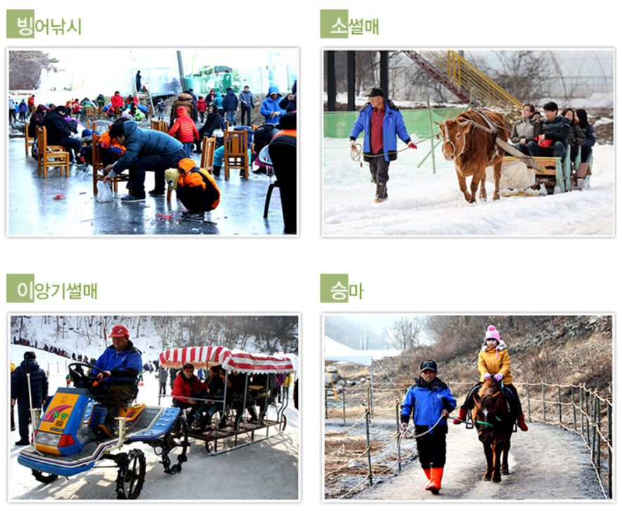 겨울 국내 여행 추천 청양 알프스마을 얼음분수축제 즐길거리 빙어낚시 외