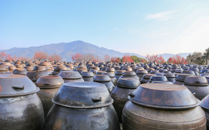 장독대