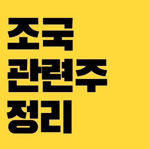 조국 관련주