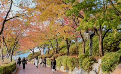 서울근교 단풍 명소 추천