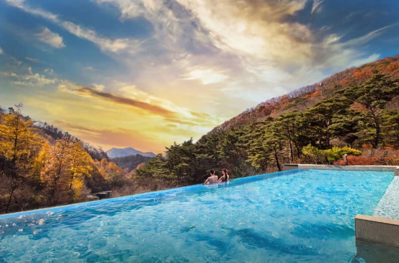 포레스트-리솜의-전경