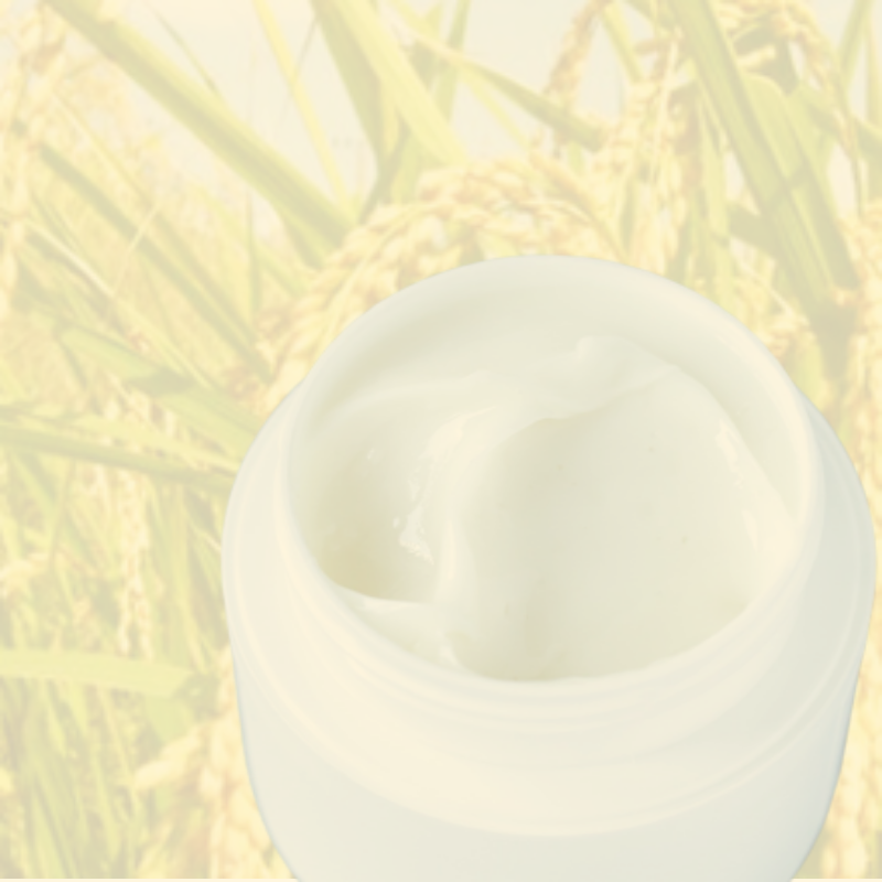 미강유 시어버터 크림 만들기