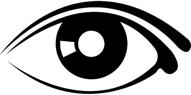 눈