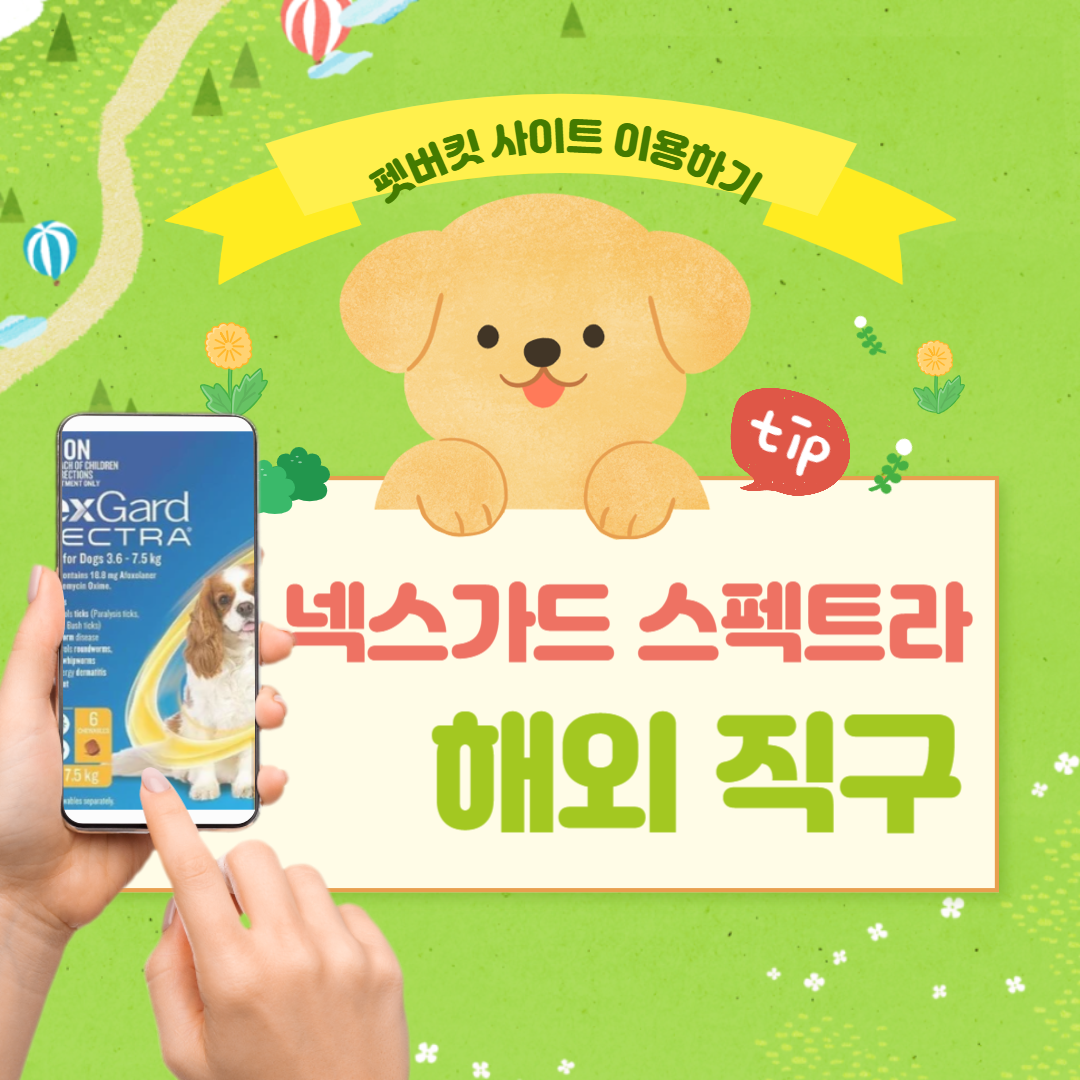 넥스가드-스펙트라-직구