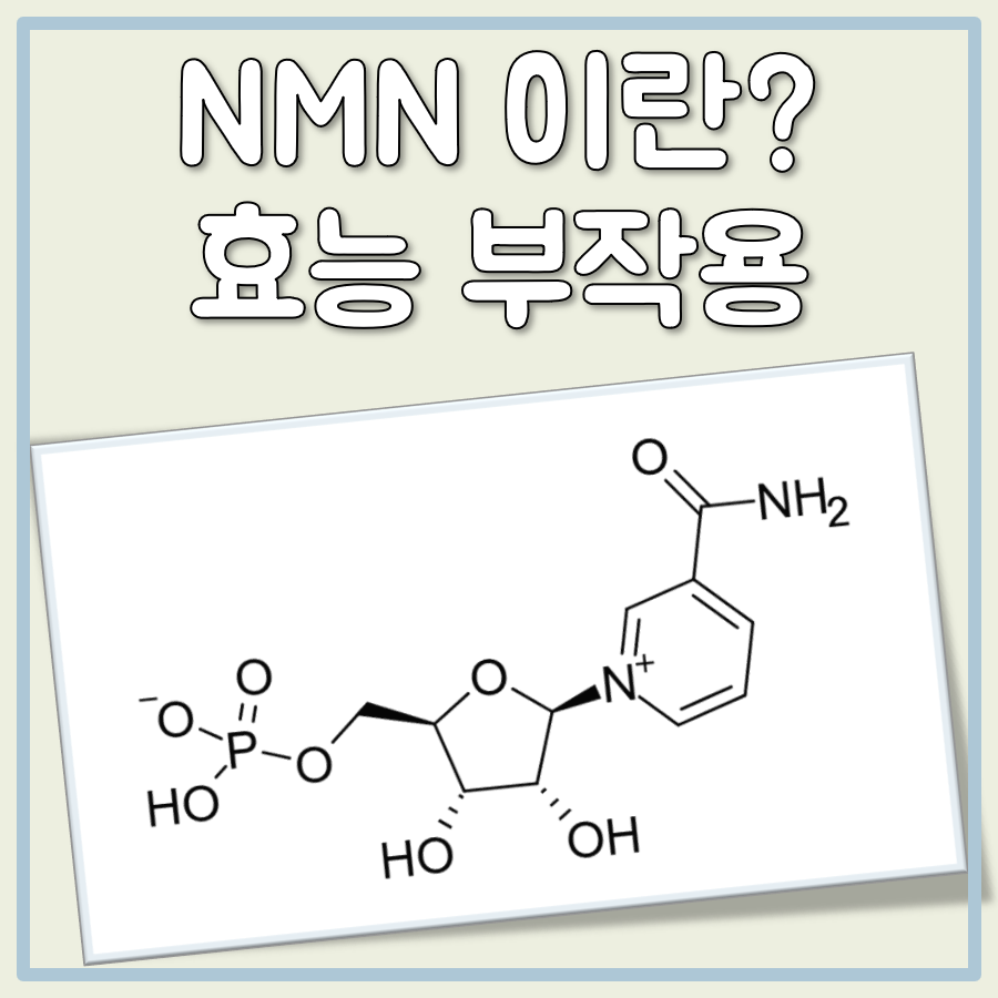 NMN 이란? 효능 부작용과 판매 금지 사례 대표 이미지