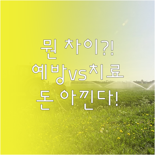 강아지 펫보험 예방접종과 치료비 보장..