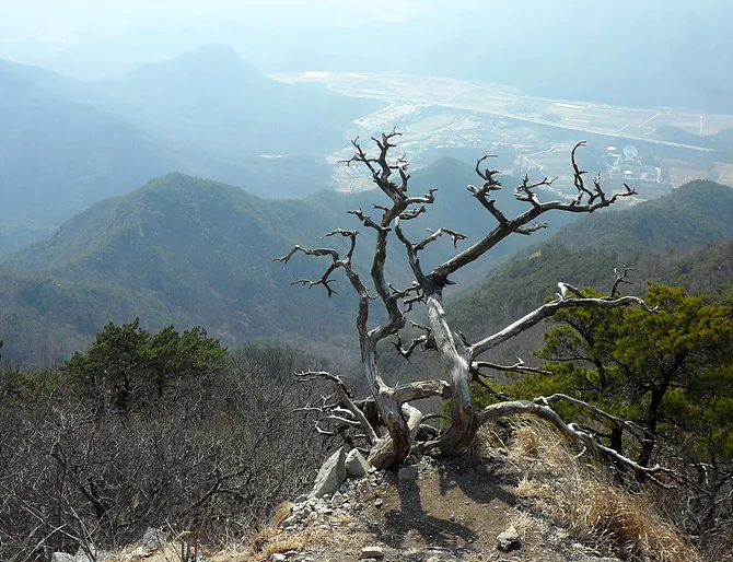 충북 보은 구병산 최단 등산코스 난이도 거리 정보 정리_6