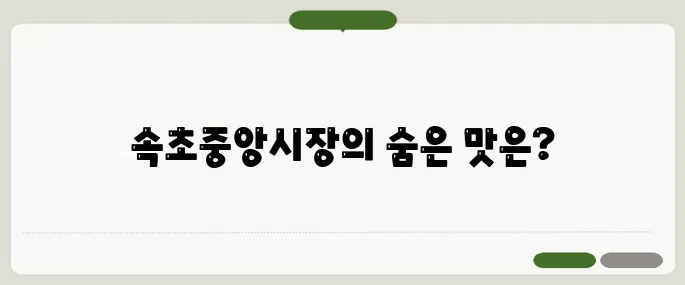 속초중앙시장 필수 먹거리와 꿀팁!