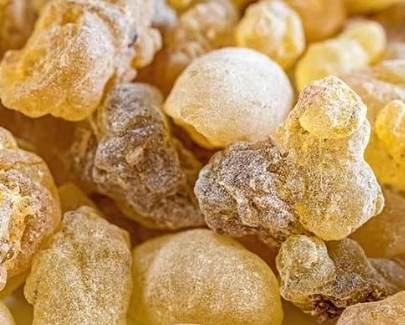 보스웰리아-고르는법