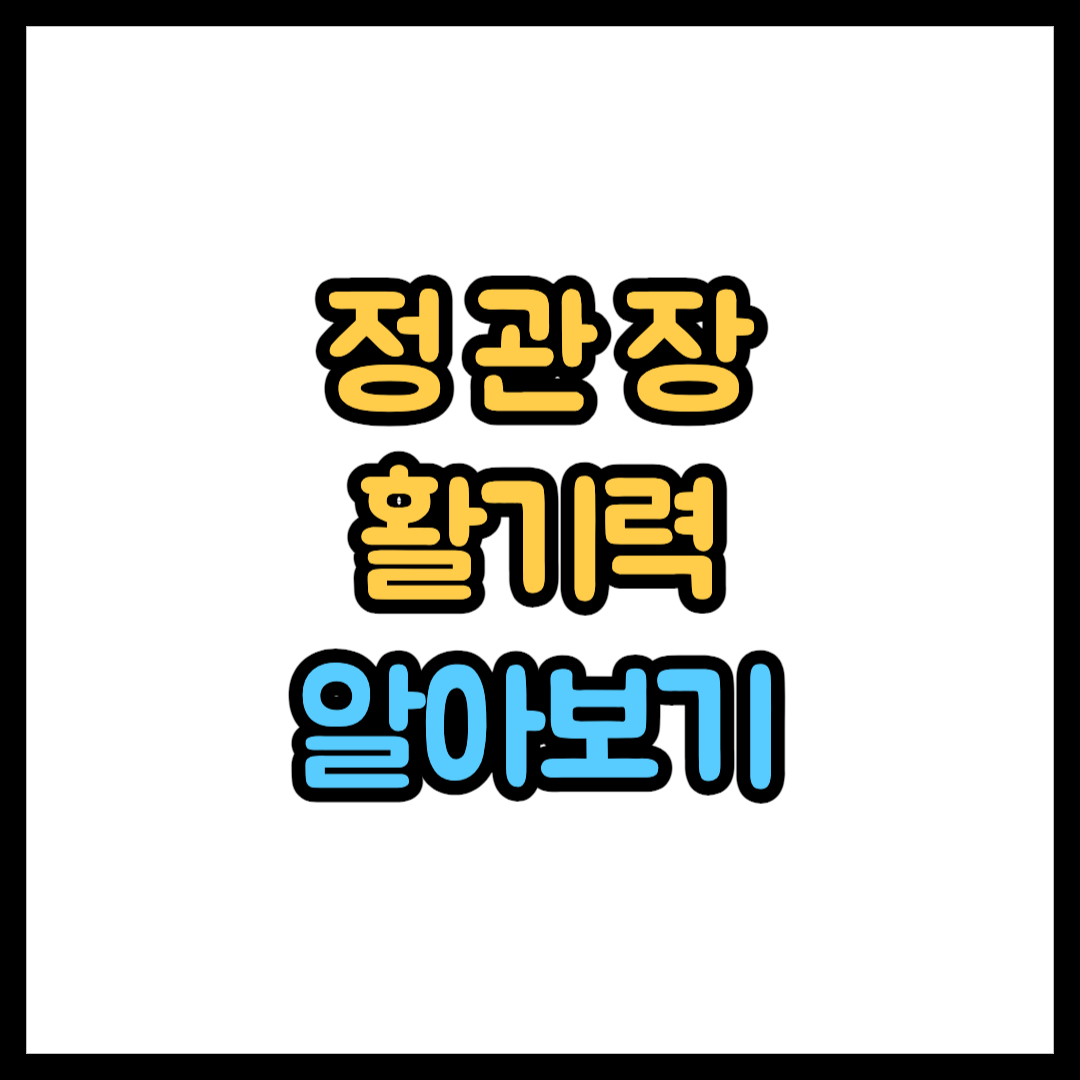 정관장 활기력