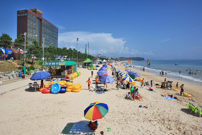 해수욕장에 관한 그림