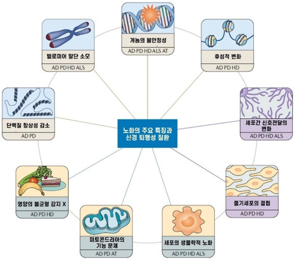 퇴행성 질환의 진단 기준과 문의 변화 신호