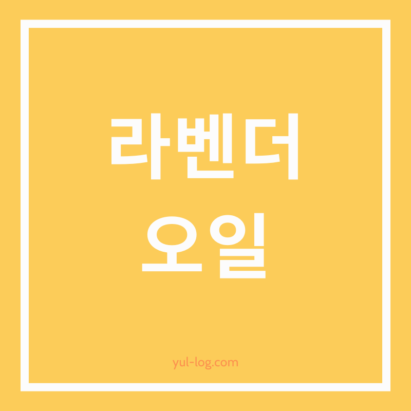 라벤더 오일의 효과와 활용법, 부작용 및 주의사항 알아보기