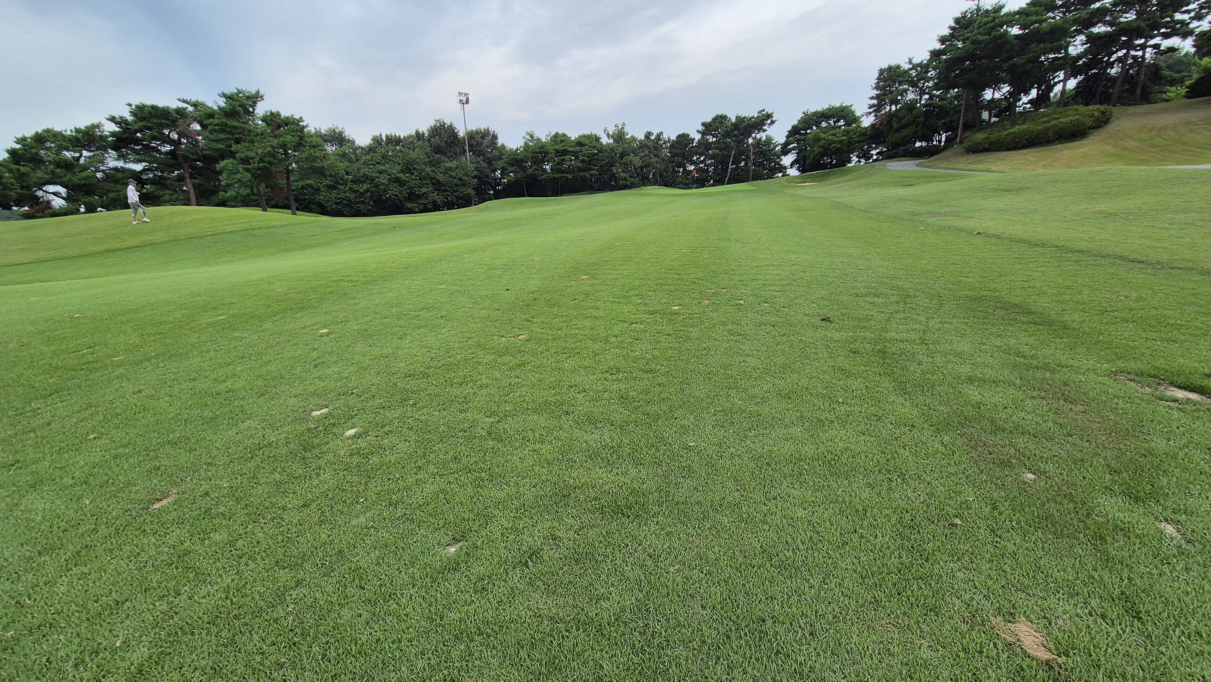 한림용인cc 다이아몬드-사파이어 코스 사진 및 공략 정보